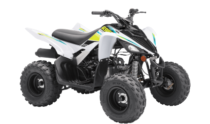 Yamaha Raptor 90